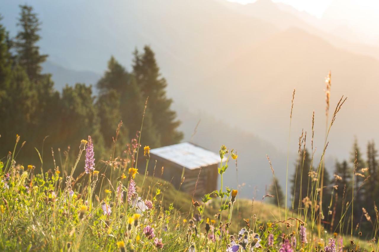 Rosa Canina Superior Sankt Anton am Arlberg Kültér fotó
